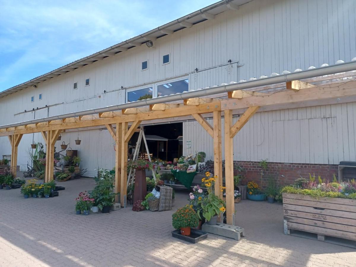 Ferienwohnung Am Elbstrom Stade Buitenkant foto